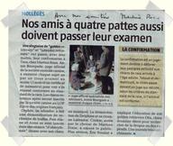 Cliquez pour agrandir l'image